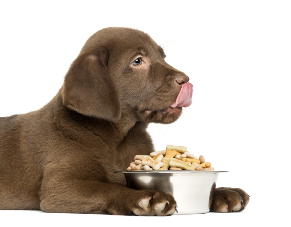 How Can Pet Food Manufacturers Address The Potential Risks Associated With Common Food Additives, Such As Artificial Colors Or Preservatives