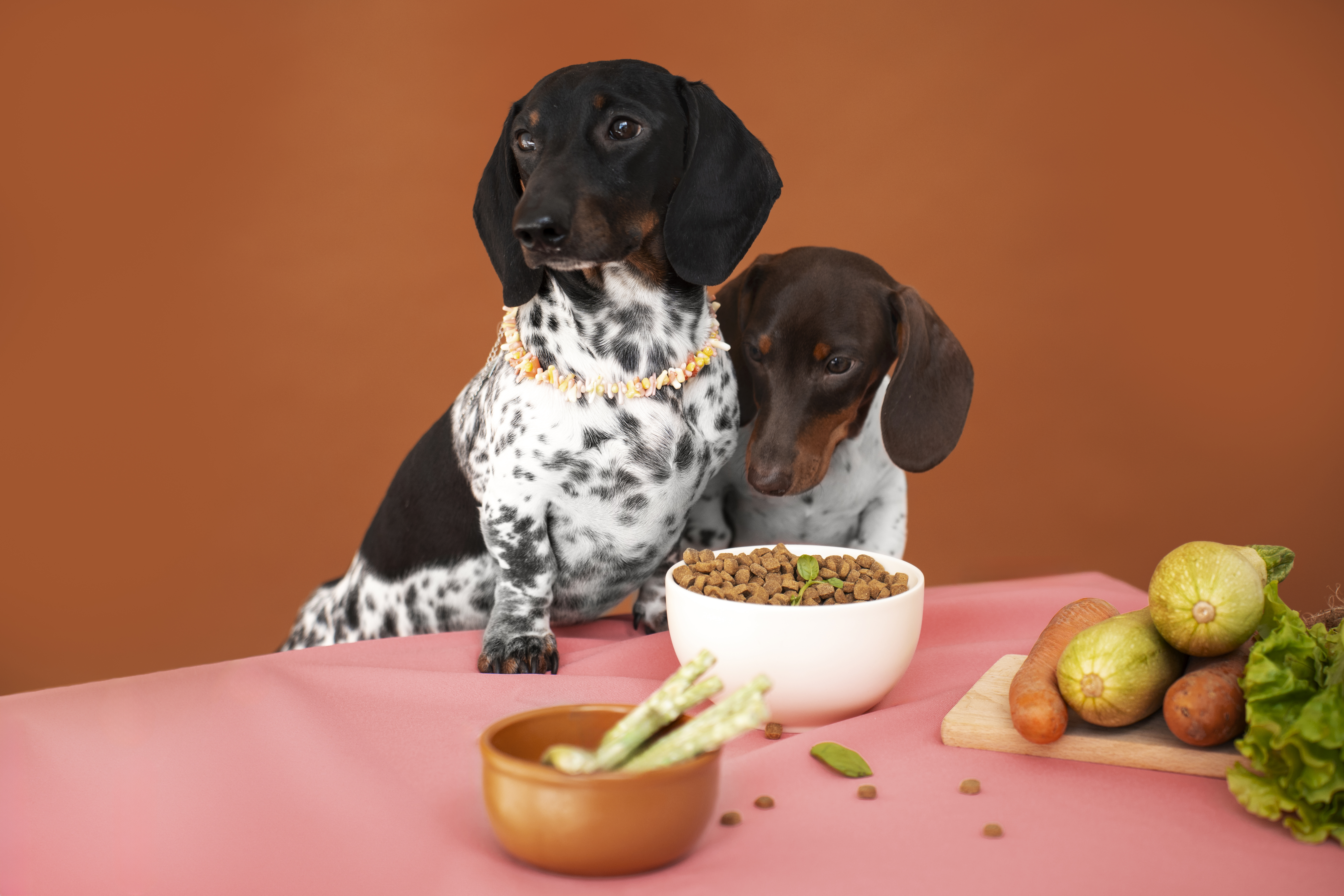 How Can Pet Food Manufacturers Ensure The Safety And Efficacy Of Joint Health Supplements Used In Their Products