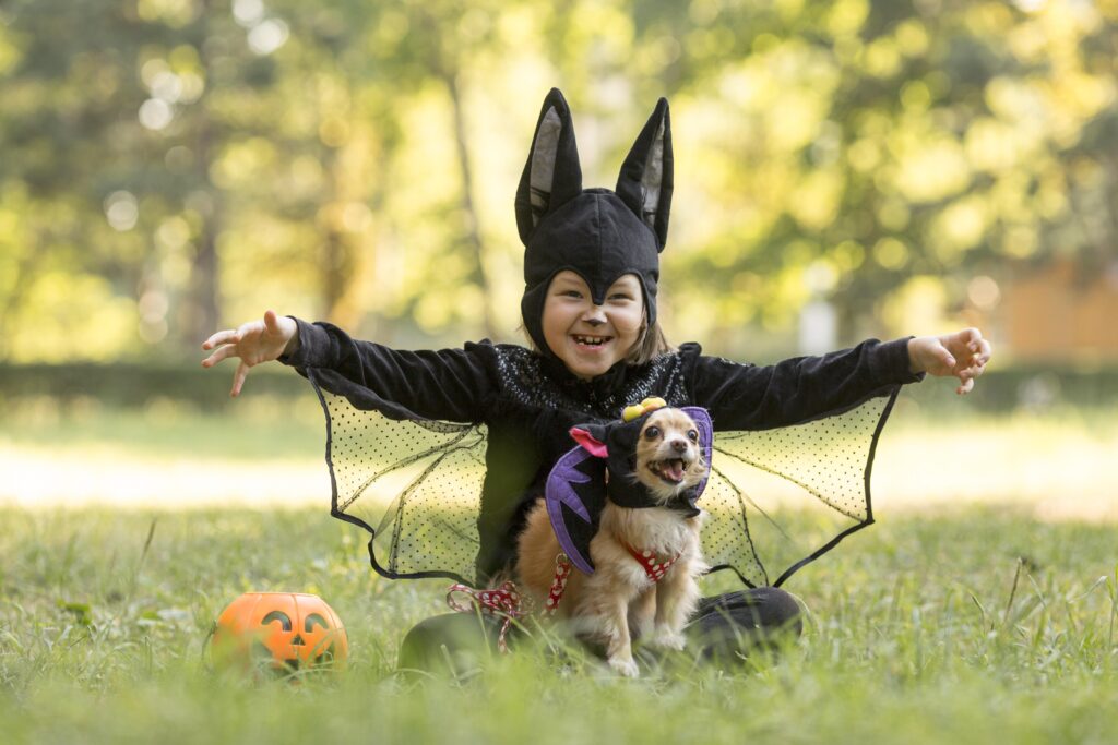 Celebrating New Year's Eve with Dogs: Keeping Anxiety at Bay During Fireworks