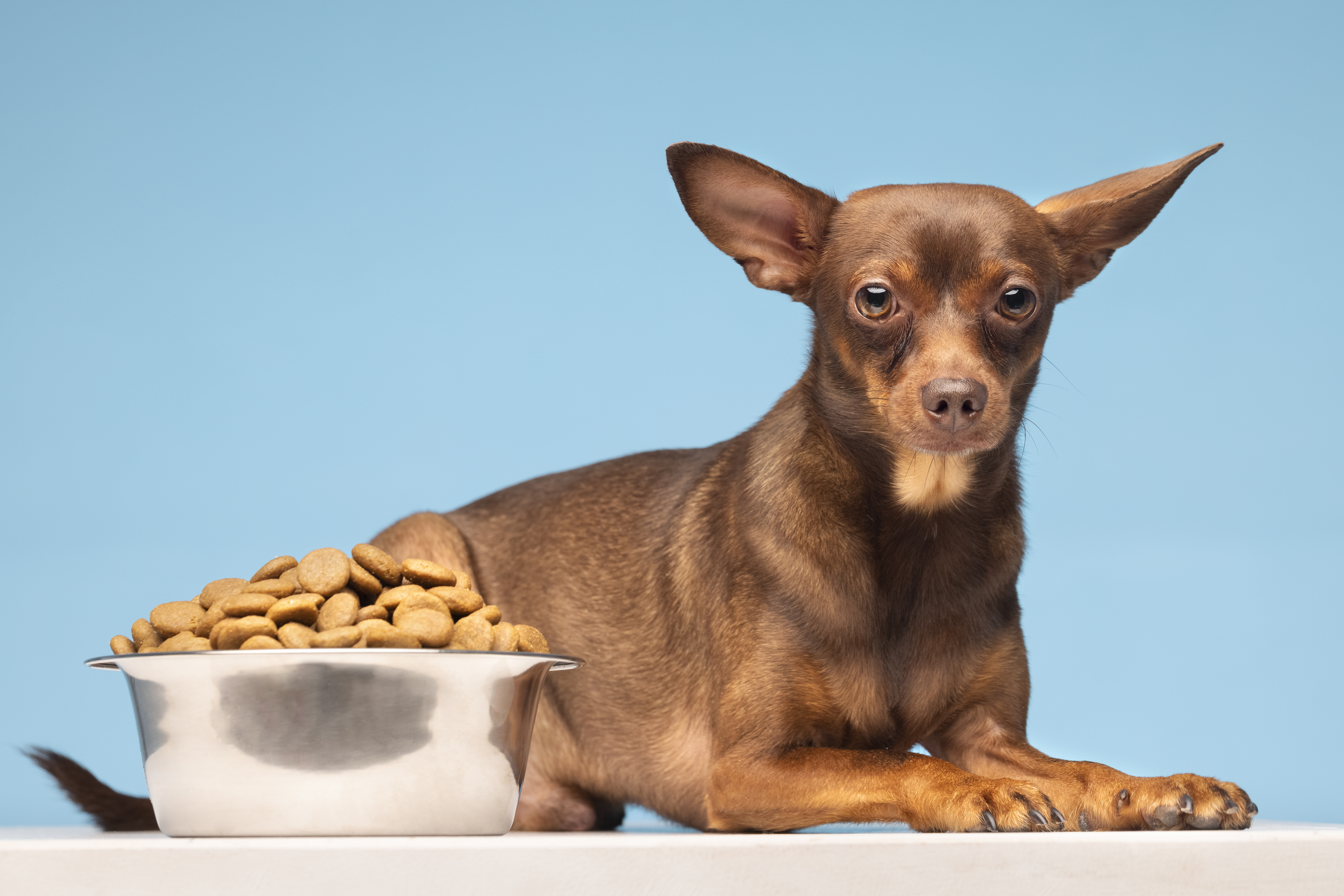 What Protocols Should Be In Place To Handle And Process Ingredients Susceptible To Contamination, Such As Raw Bones Or Organs, In Pet Food