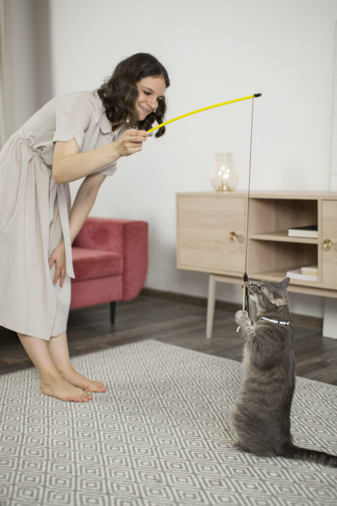 Winter Enrichment: Indoor Training Activities to Keep Your Cat Mentally ... - Indoor Cat Activities For Mental Stimulation
