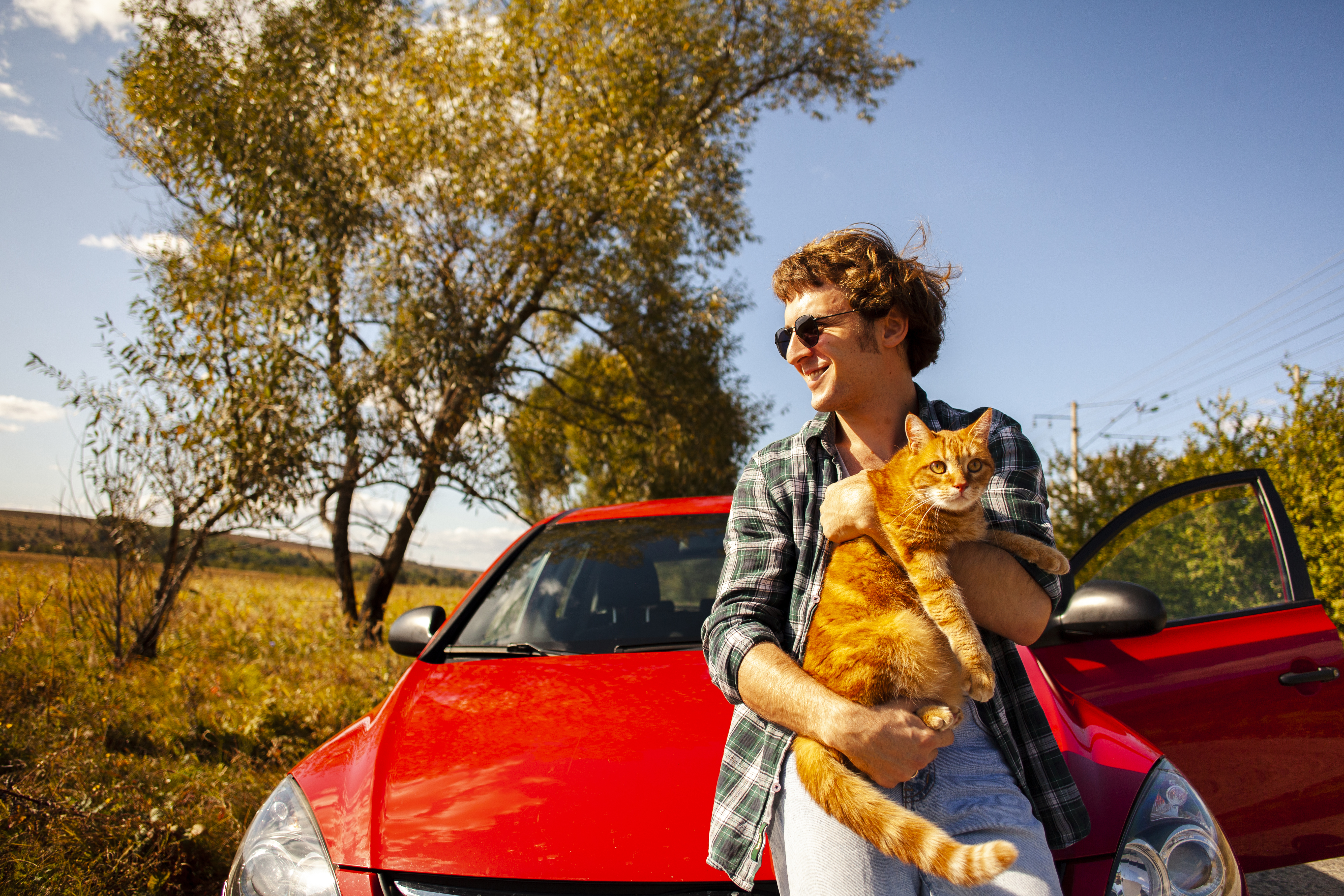 Winter Road Trip Essential Tips for a Safe Journey with Your Cat