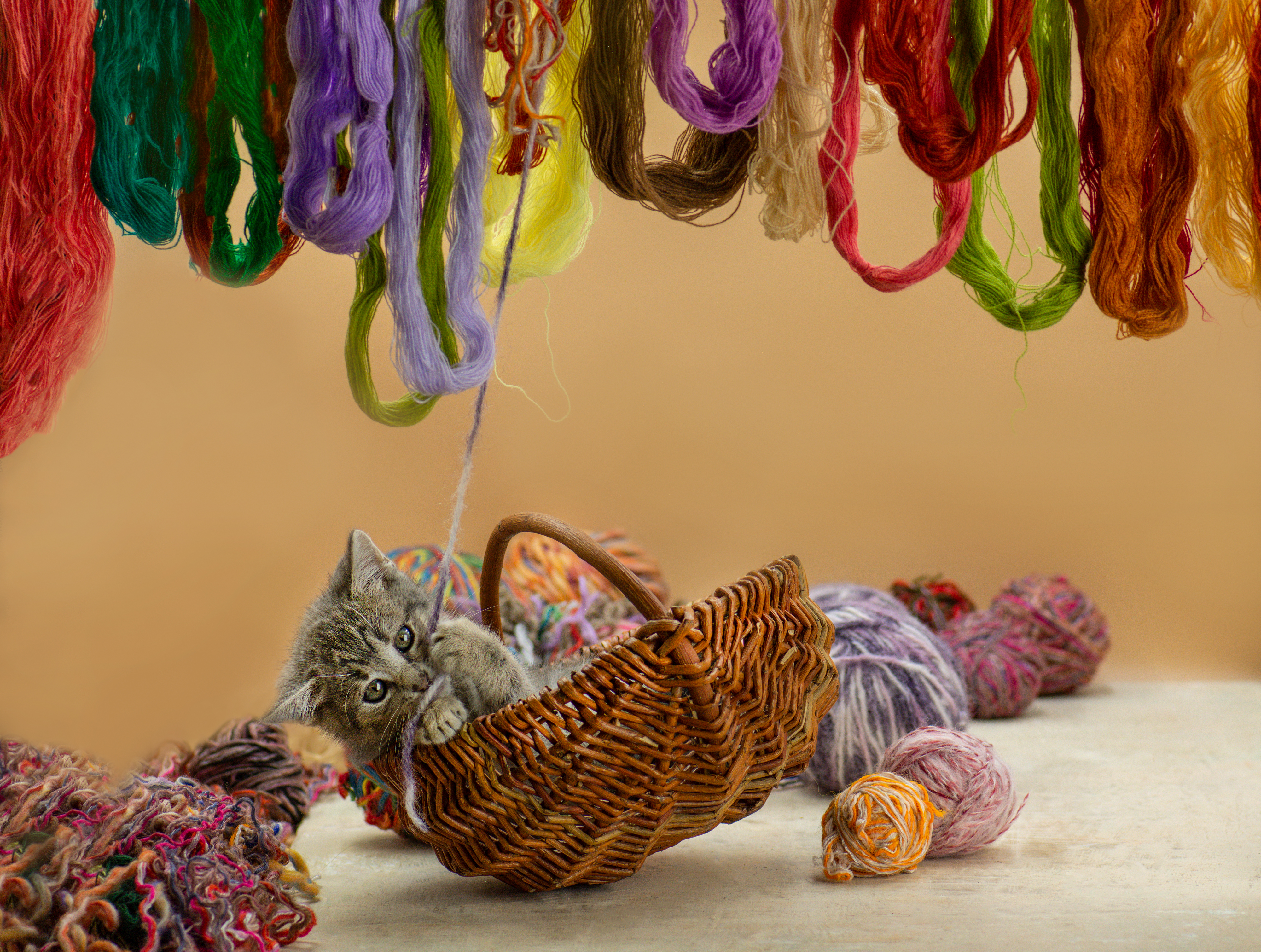 Diy Cat Toys For Indoor Winter Fun