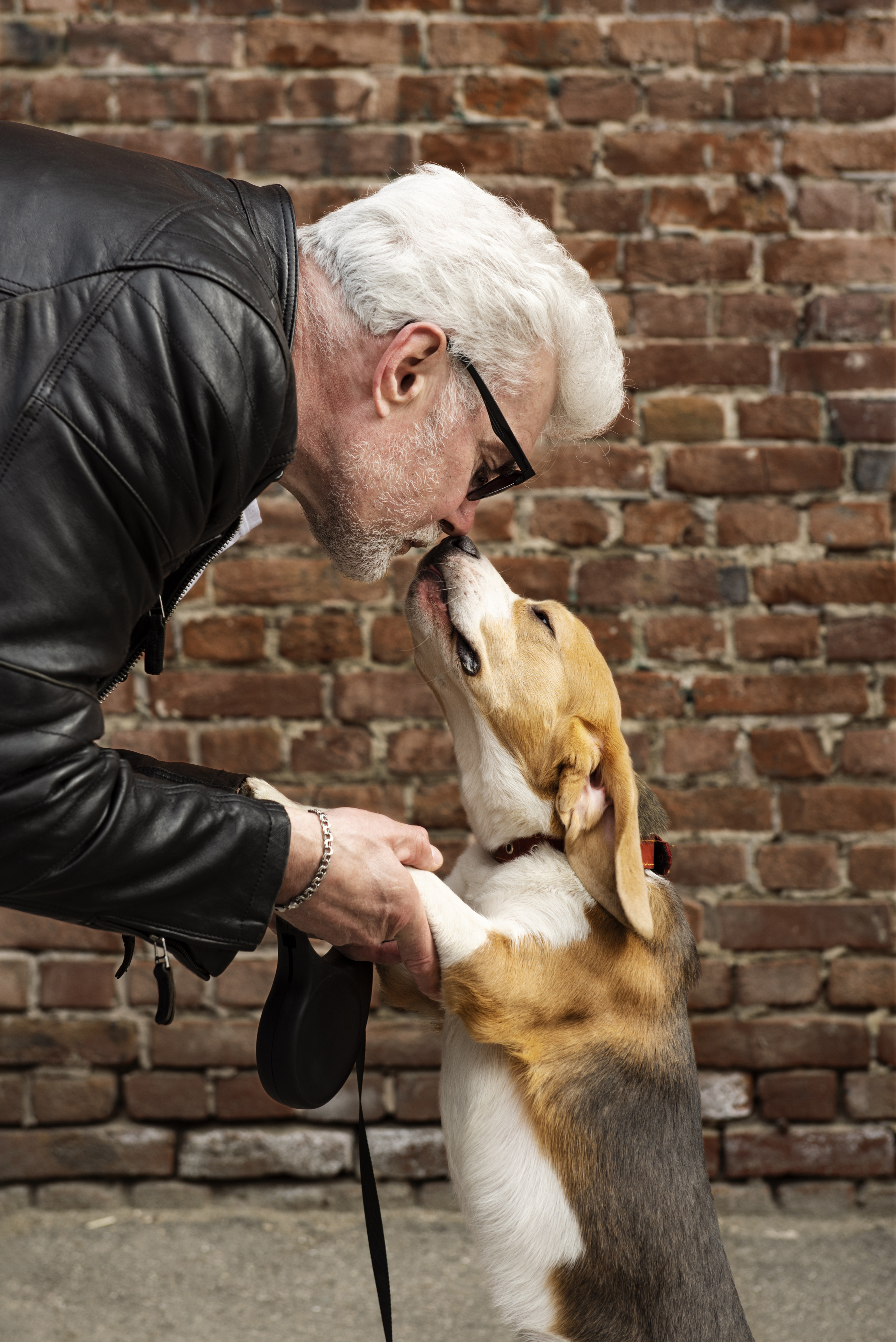 Senior Dogs For Senior Citizens: A Growing Trend In Companionship