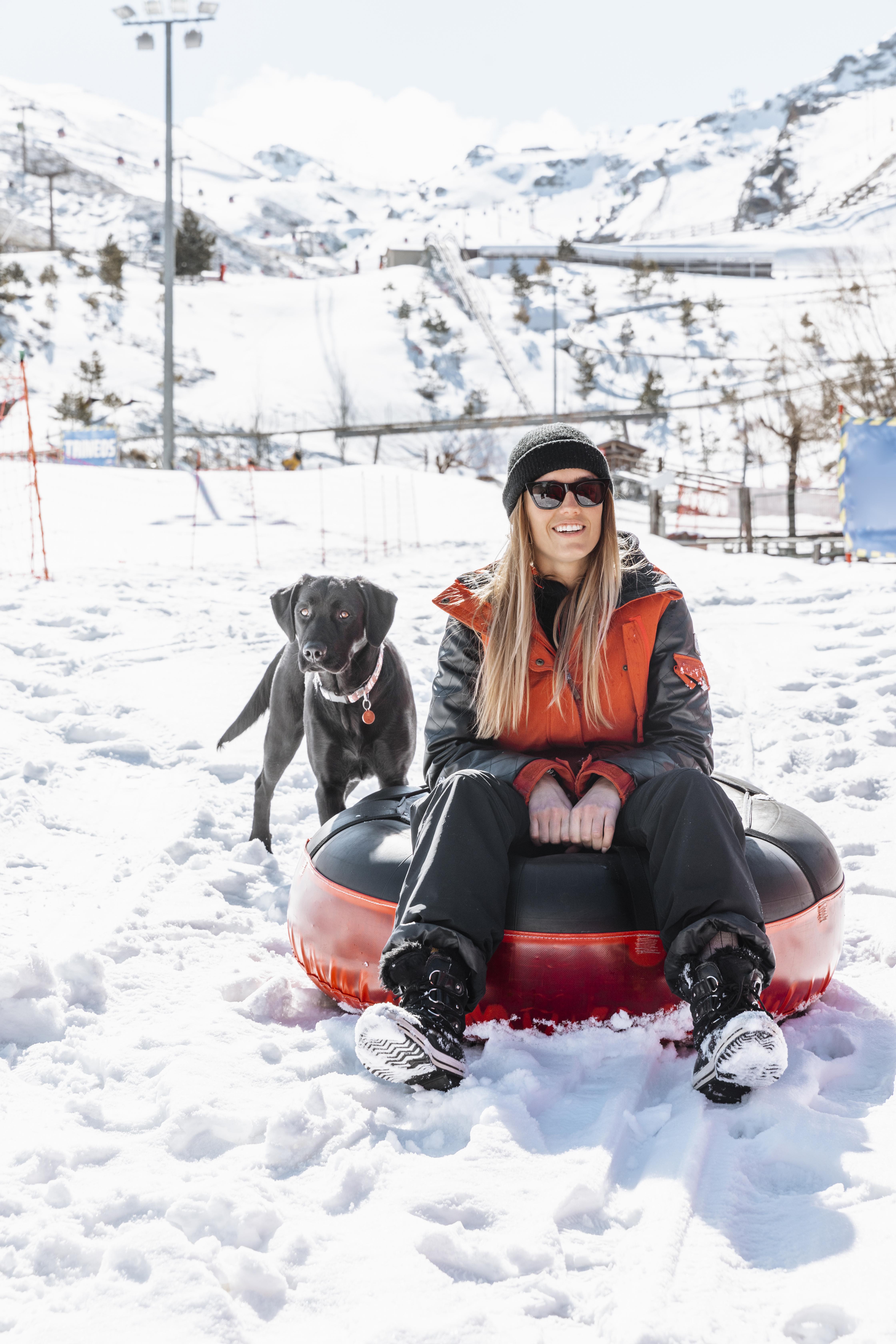 Snow Day Fun_ Top 5 Outdoor Games to Play with Your Dog