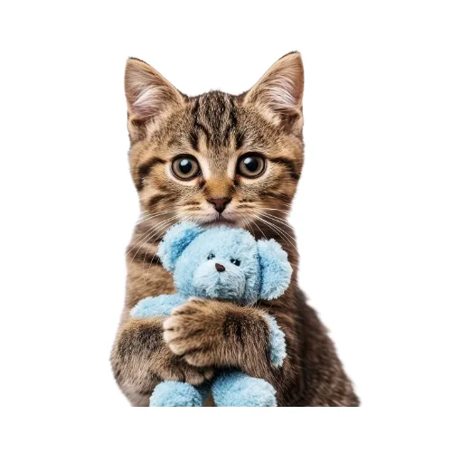 Are Your Cat Treats Healthy