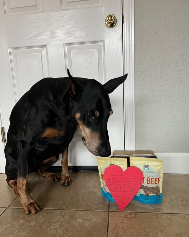 Dog Treats for a Healthier, Happier Pup