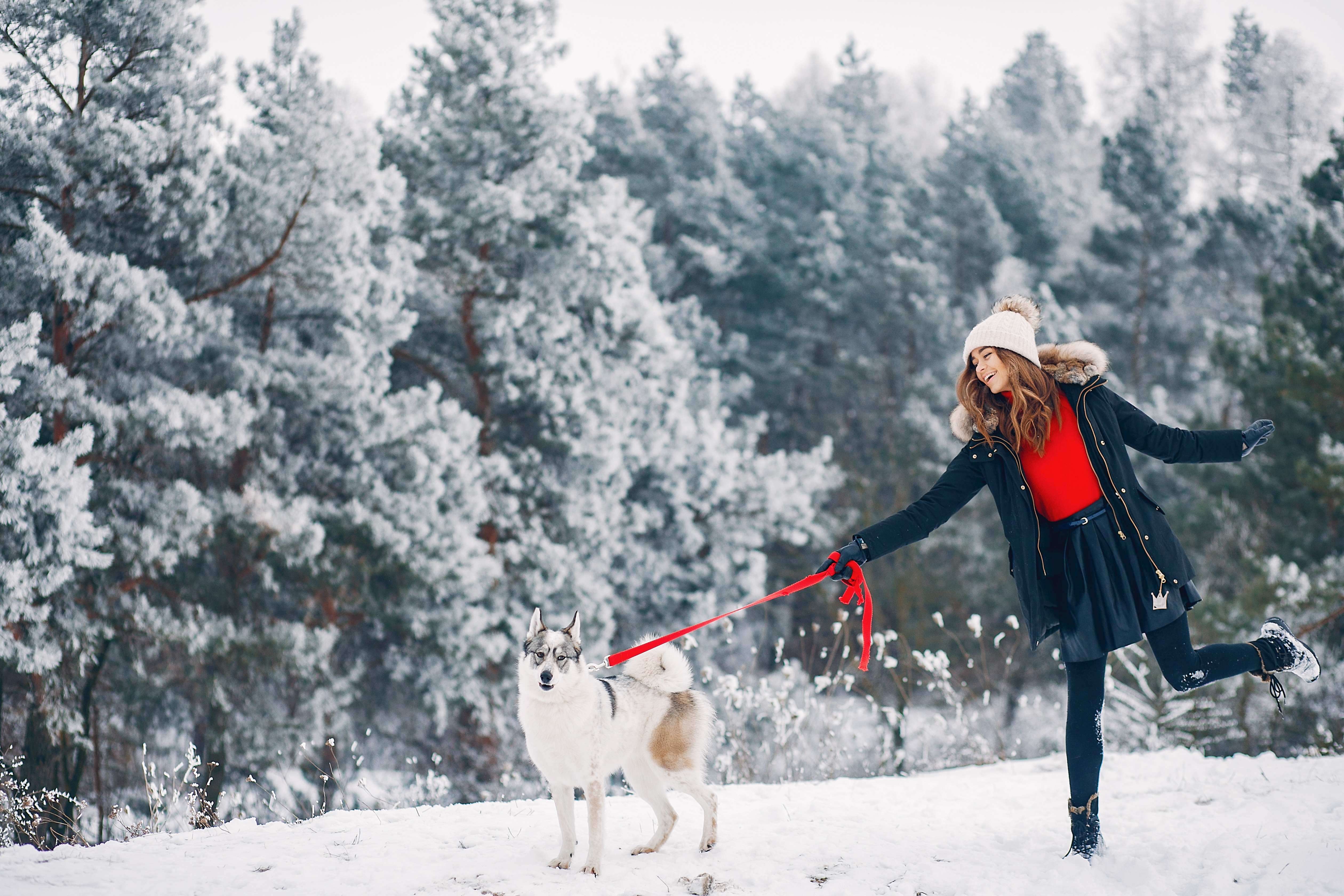 Go Green with Ice Melt Safer for Pets, People, and the Planet