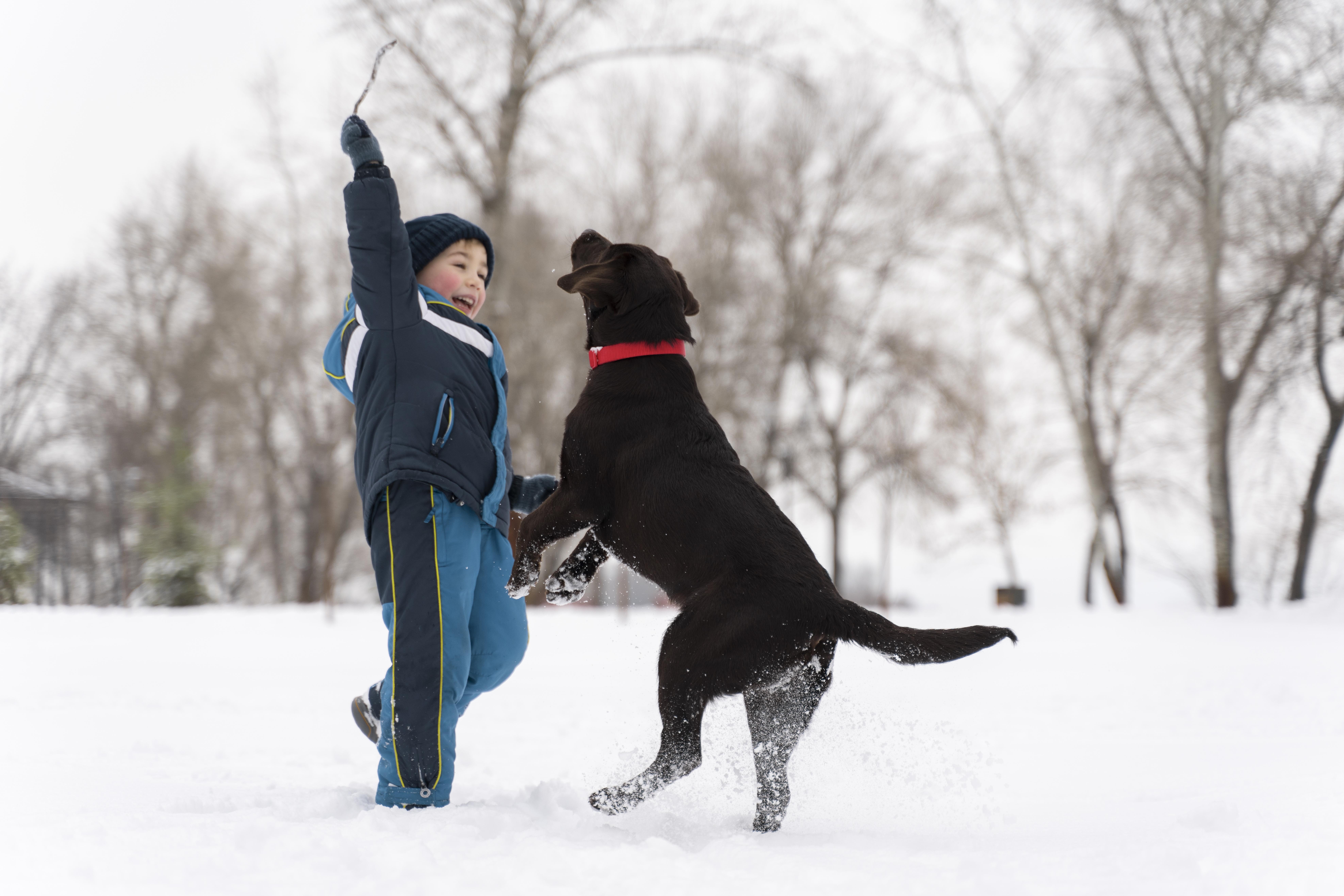 How to Protect Pets, Kids, and the Environment from Snow Salt