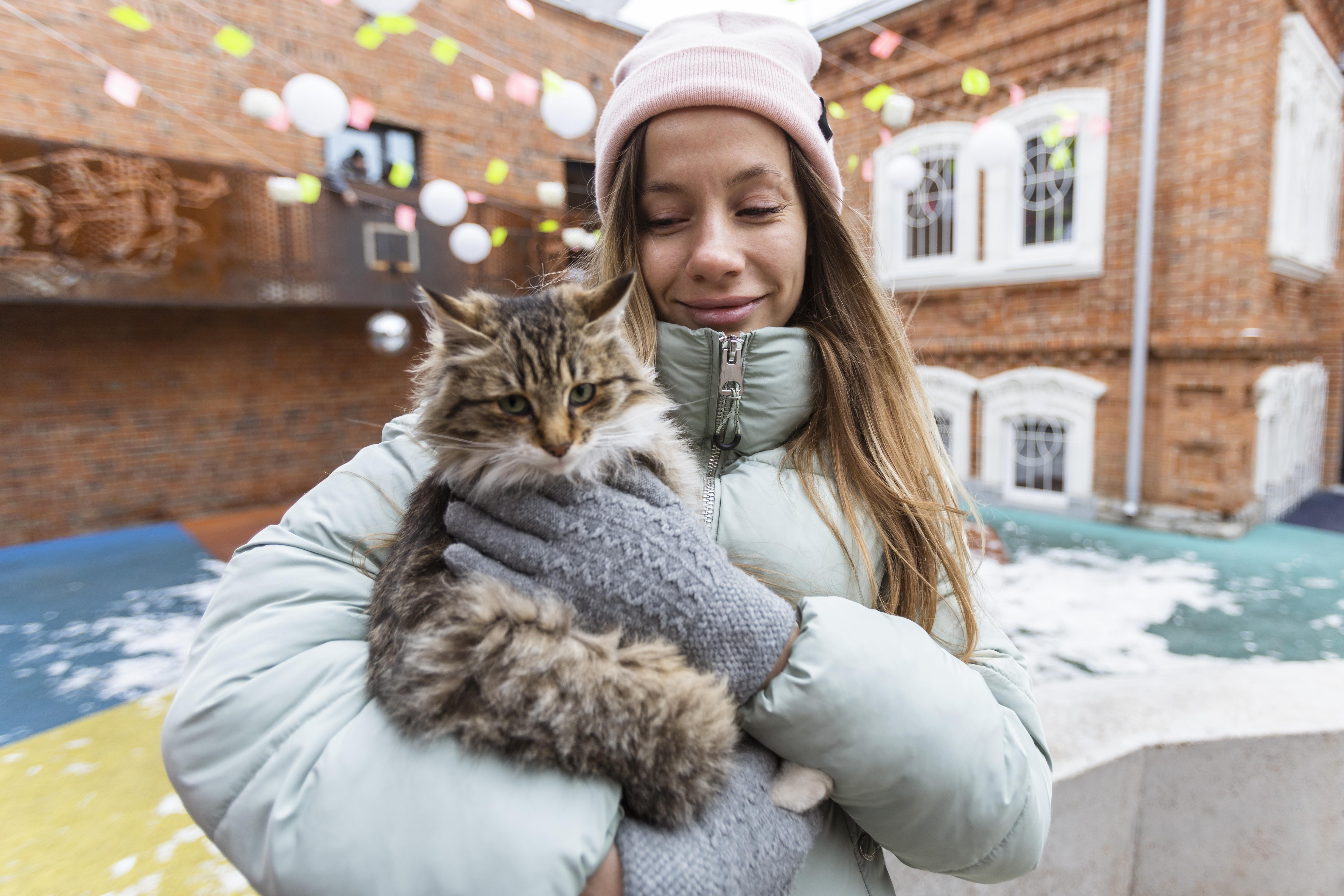 How To Support Cat Rescues During Winter: Volunteering And Beyond