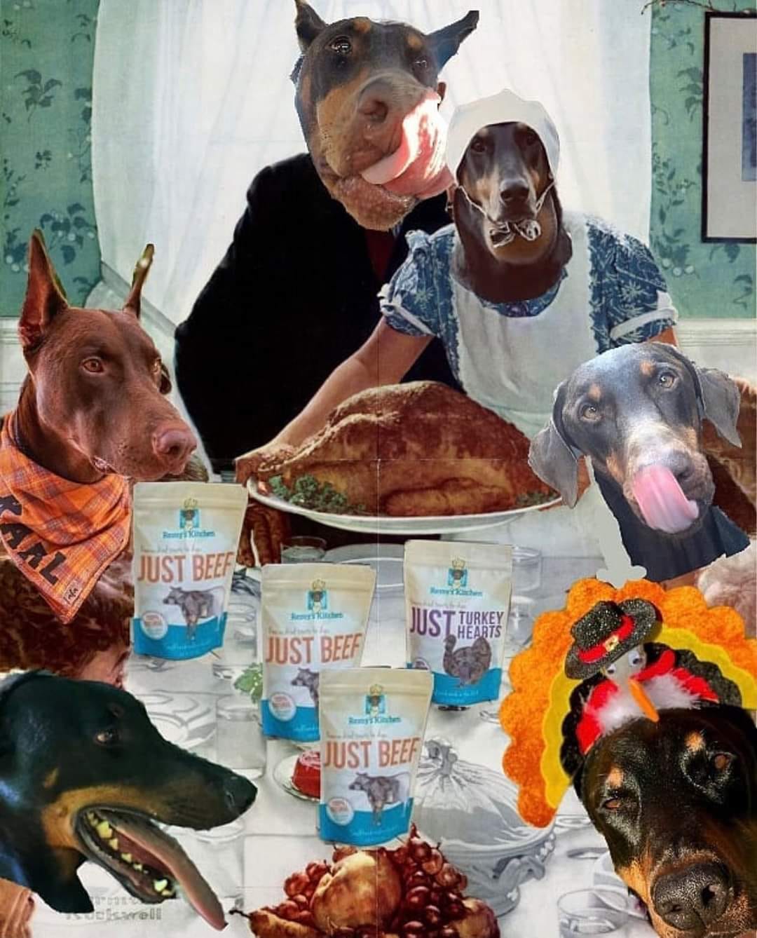 Freeze-Dried Cat Treats A Nutritional Powerhouse for Your Feline