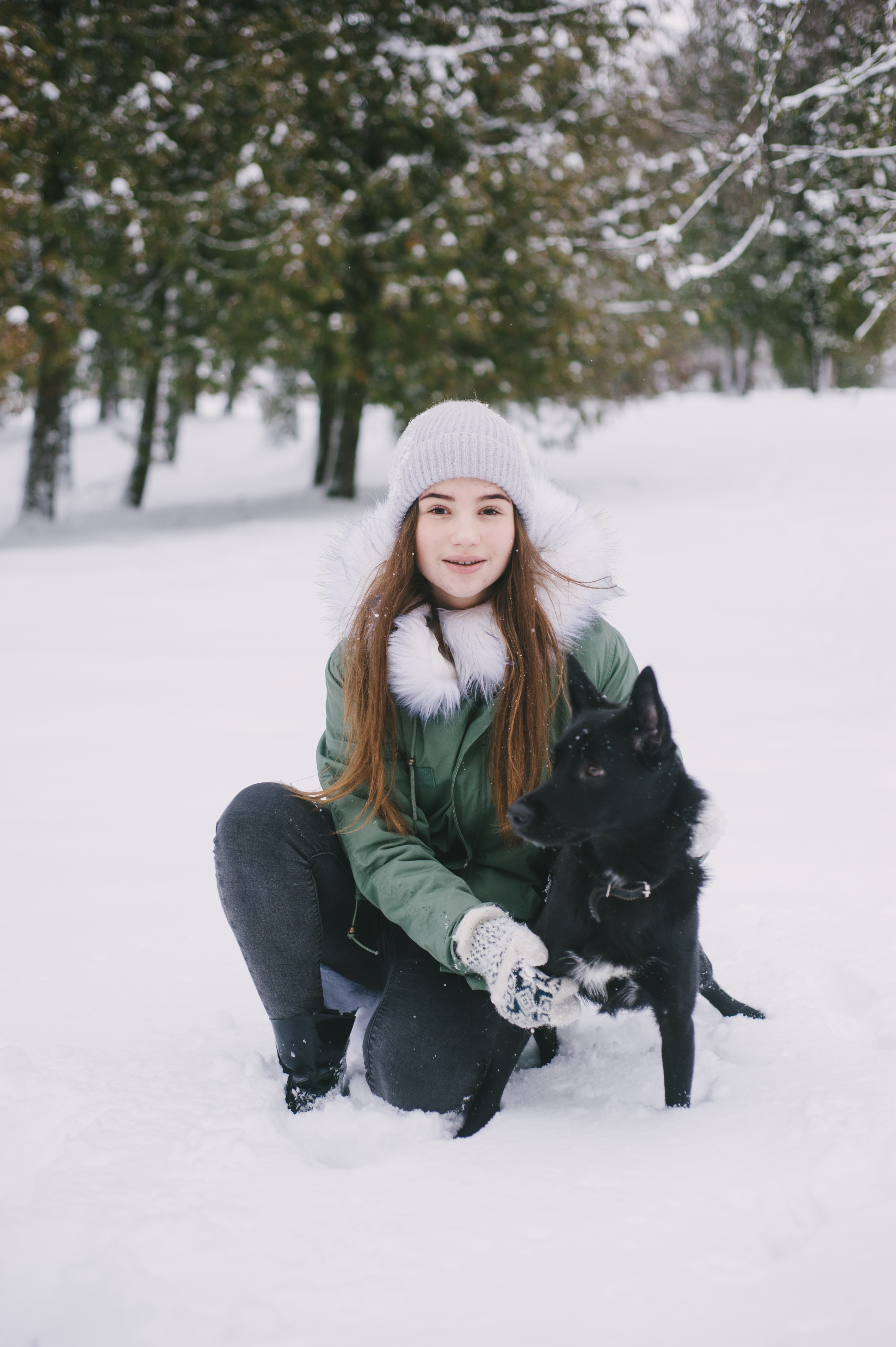 Helping Pet Owners Make Smarter Winter Choices