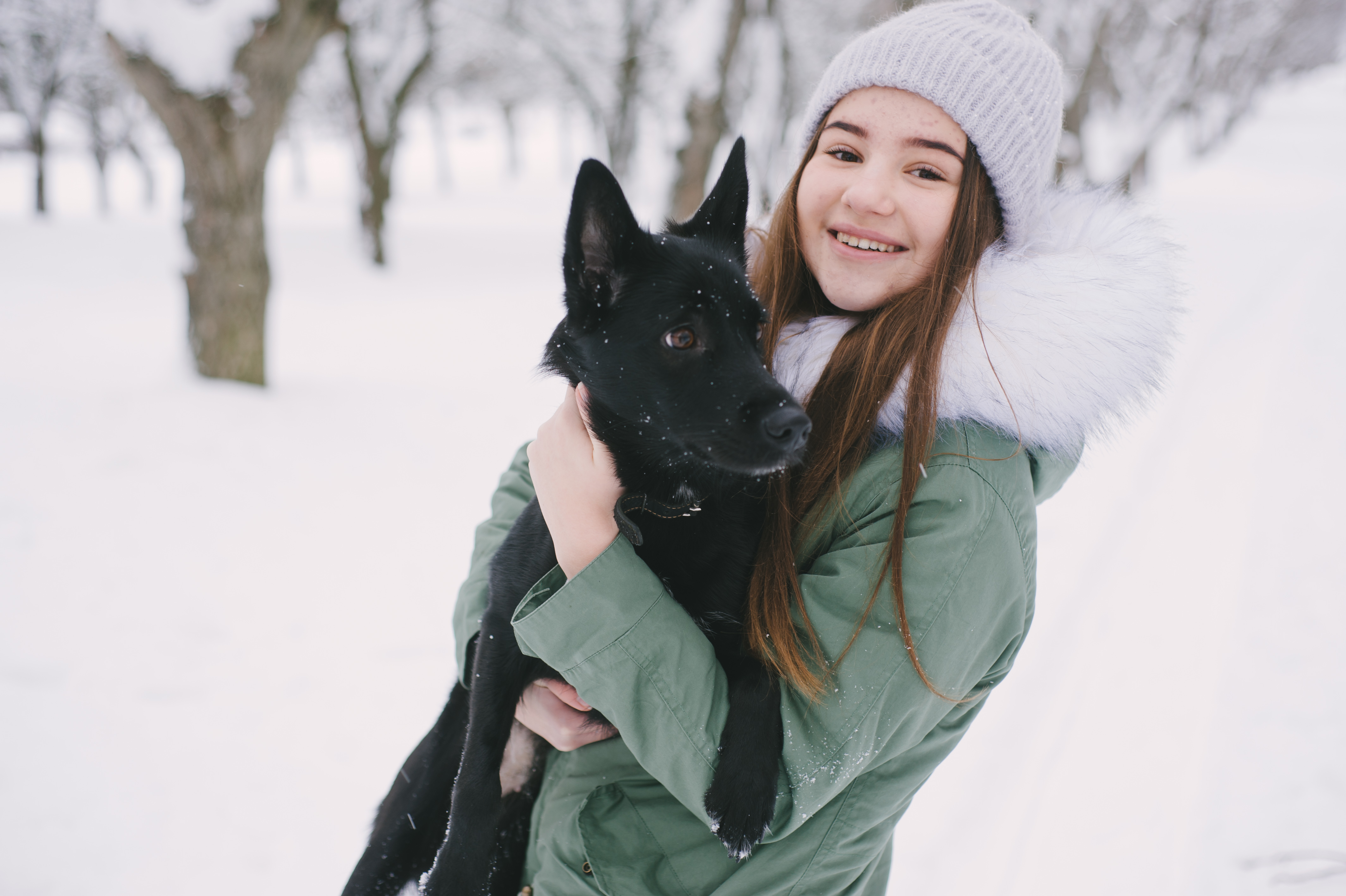 Snow and Ice Melters: Choosing a Safer Option for Pets and the Environment
