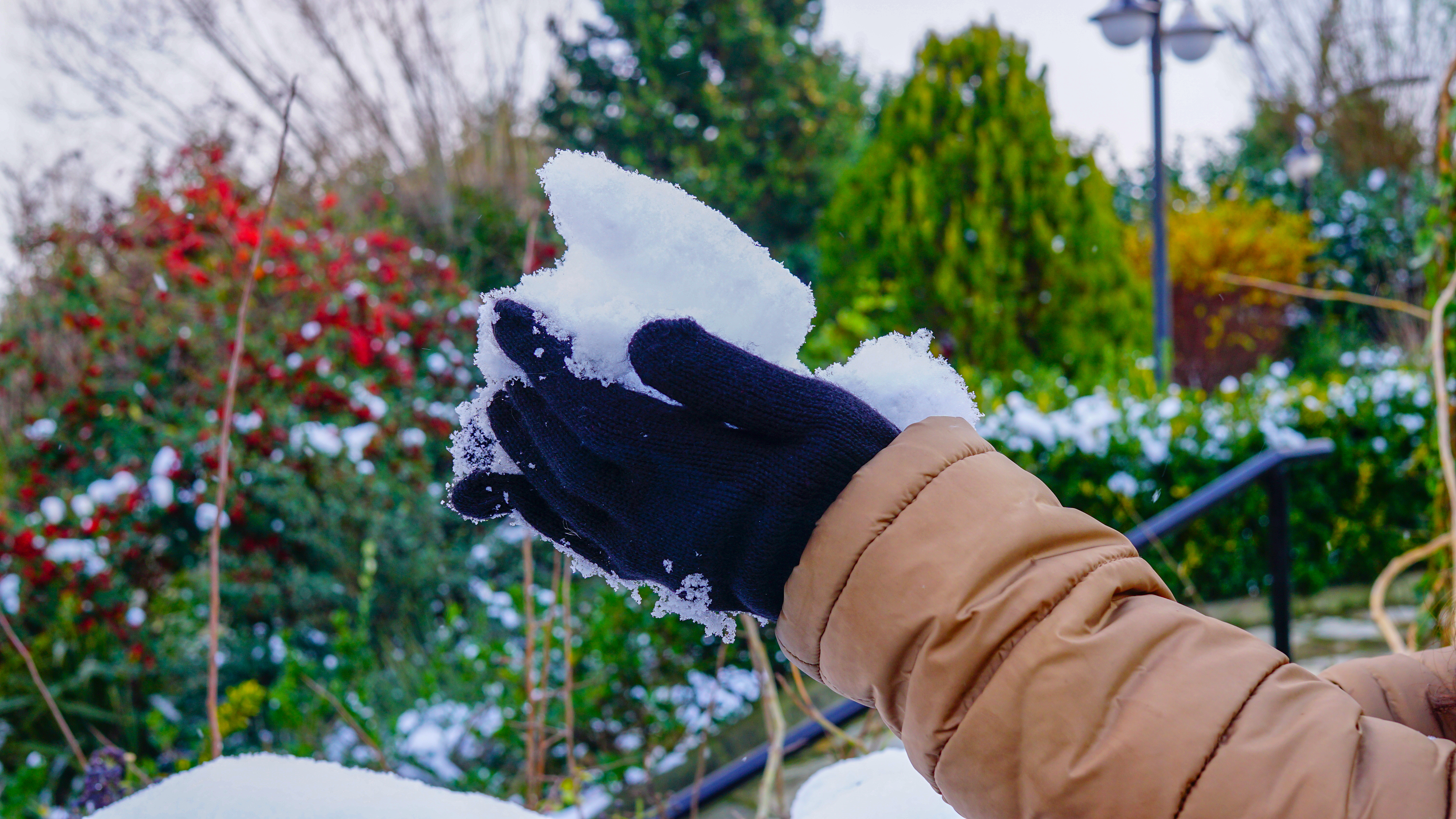 Protecting Your Garden from Ice Melts During Heavy Snowfall