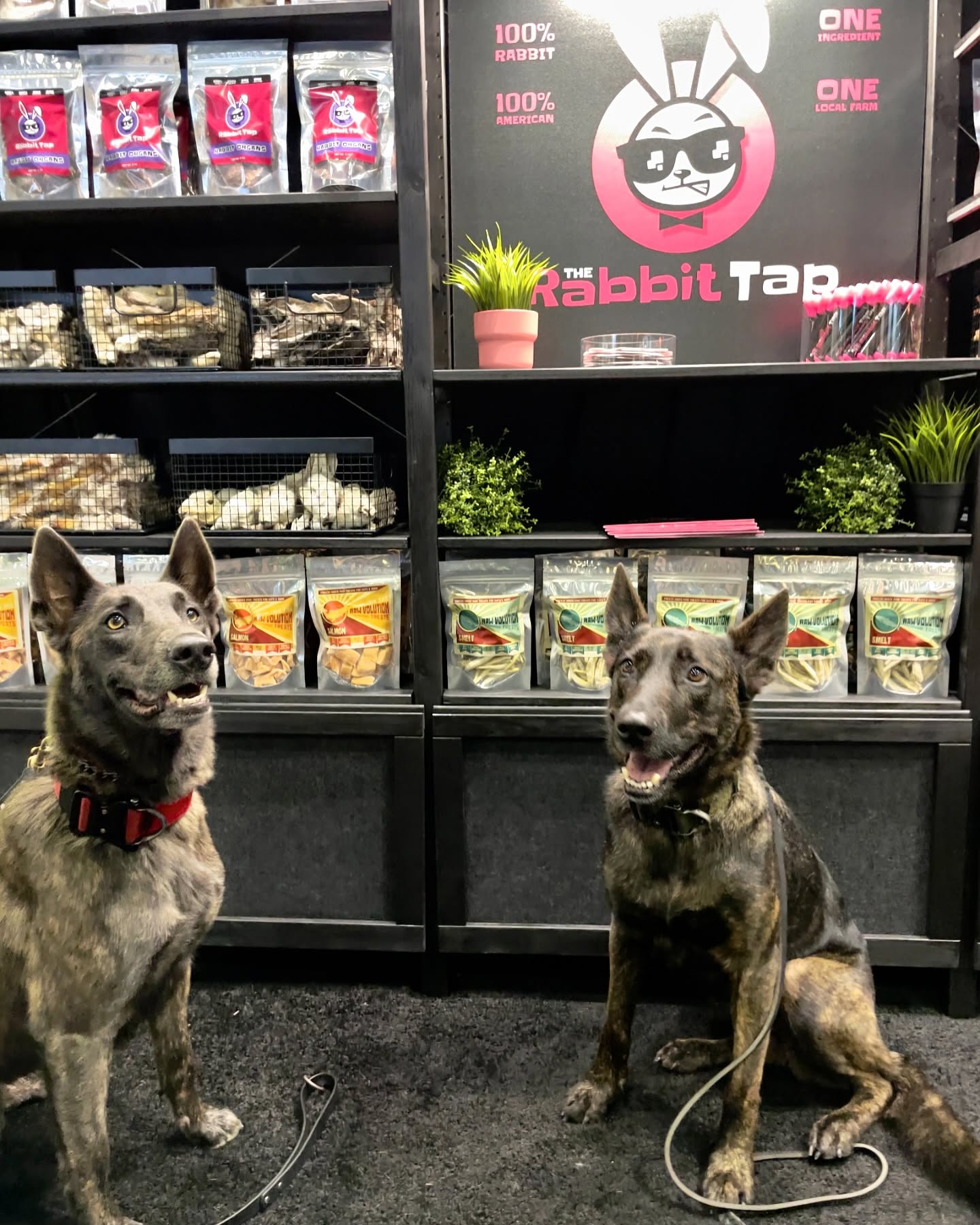 The Rabbit Tap Natural Chews for Rabbits & Guinea Pigs