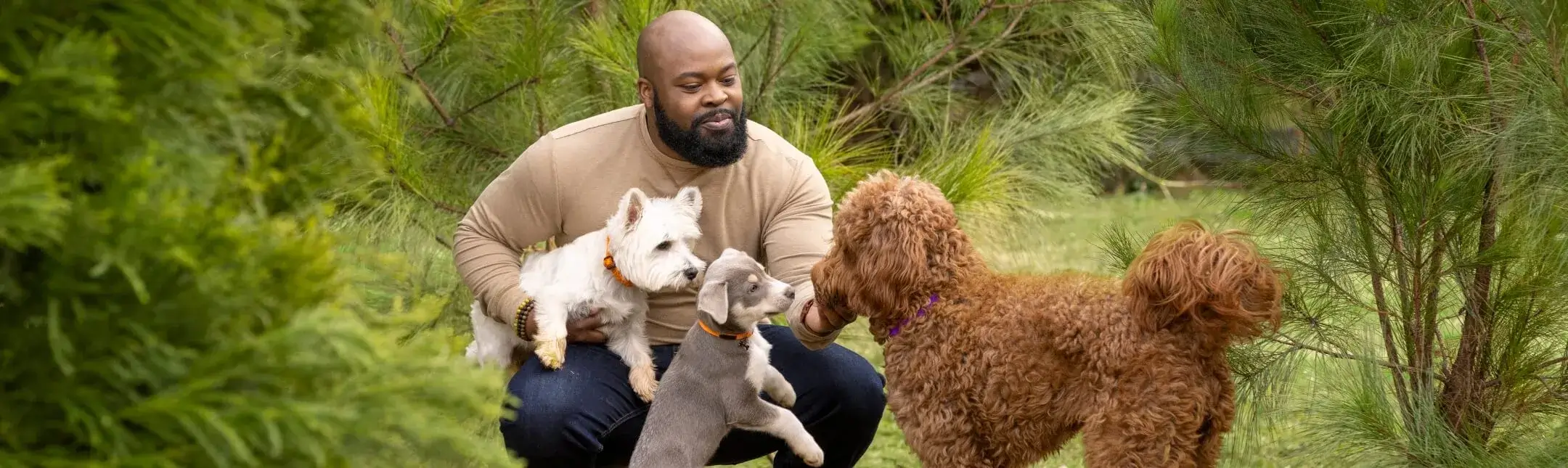 Frontline Plus vs. K9 Advantix II: Best Flea & Tick Prevention for Pets