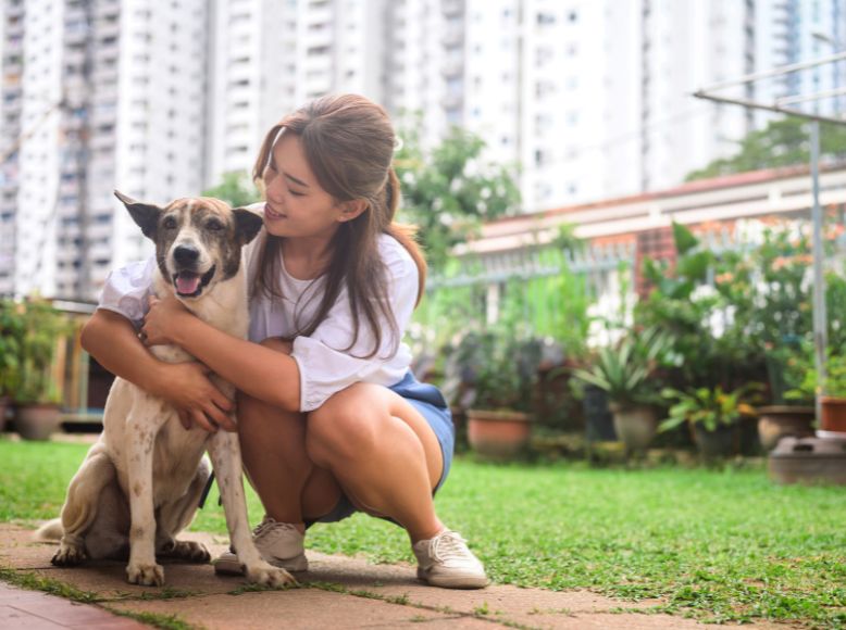 Next Gen Pet: Leading the Way in Natural and Eco-Friendly Pet Products