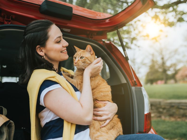 Cold-Weather Travel With Cats: How To Keep Your Feline Comfortable On The Road