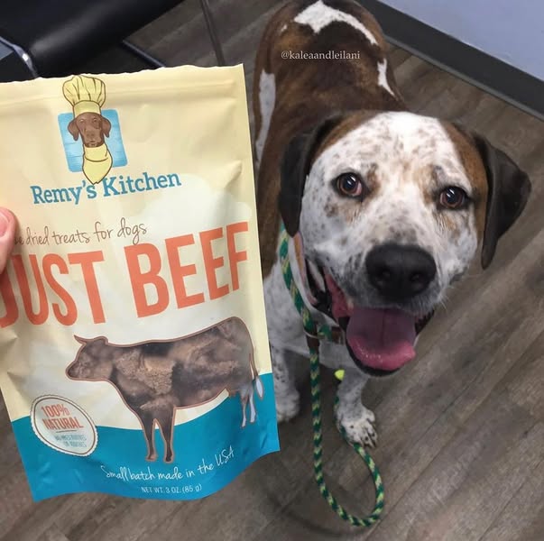Good Dog Treats What to Look for and Why They Matter