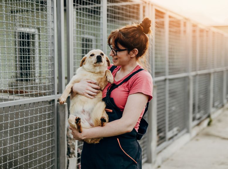 Why Spring Is the Best Time to Adopt a Rescue Dog Adoption Benefits