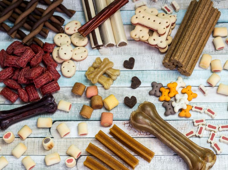 Top Dog Snacks for Every Occasion: Training, Travel & More