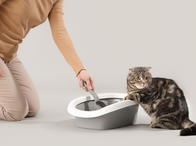 Discover Innovative Pet Care with Next Gen Pet Products