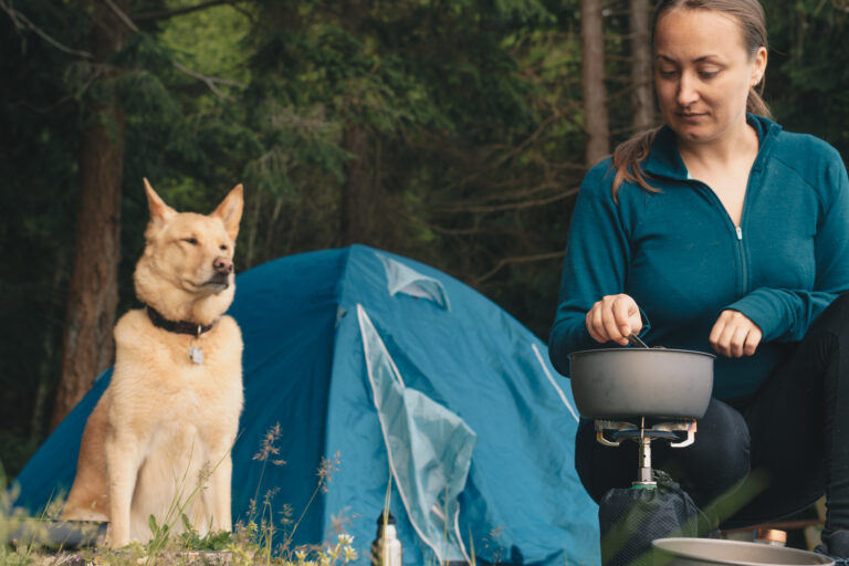 Tips Camping with Senior Dogs Comfort and Safety Essentials