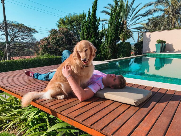 Host a Backyard Dog Pool Party Step-by-Step Setup and SafetyTips