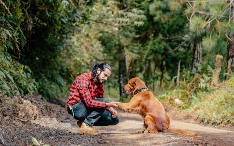 How to Help a Shy Rescue Dog Build Confidence Outdoors