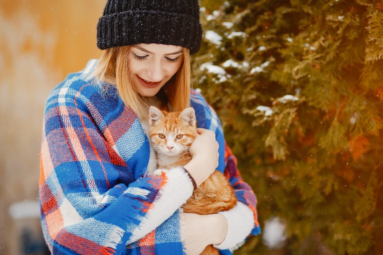 DIY Cat Toys: 3 Easy Winter-Themed Crafts for Your Feline Friend