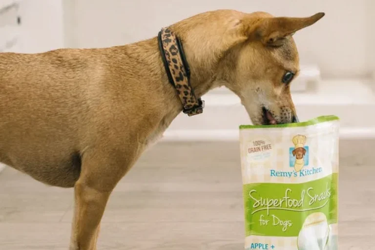 Dog Treats for a Healthier, Happier Pup