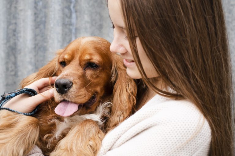 3 Effective Strategies to Discourage Destructive Scratching During the Holidays