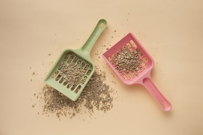 Flushable CatLitter Brands Worth Trying Flushable Cat Litter Brands Worth Trying