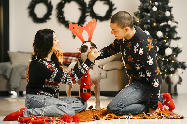 Home For The Holidays: The Rise In Dog Adoptions During The Festive Season