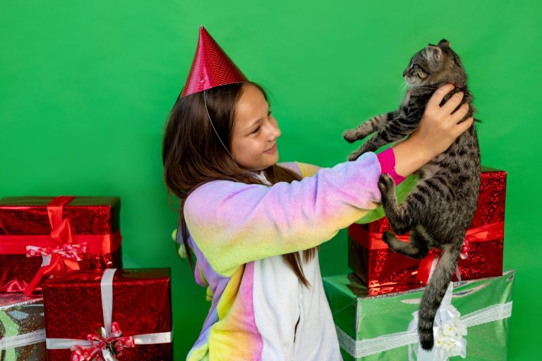 Hosting A Cat-Friendly Holiday Party: Games And Activities