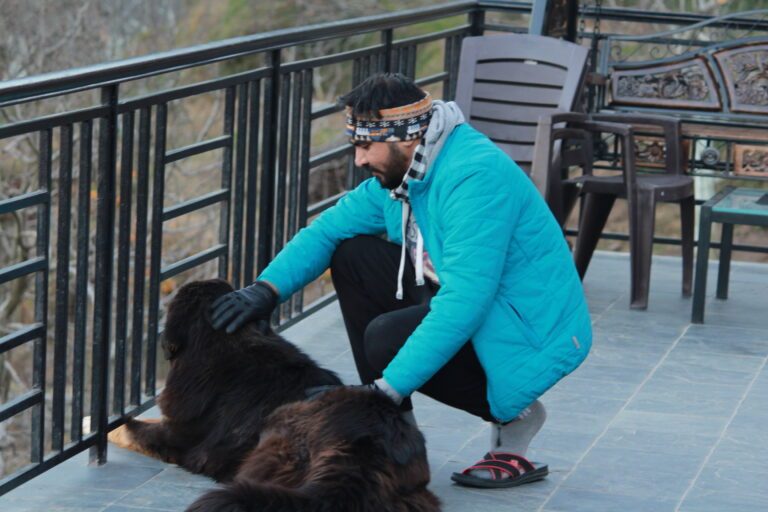 How to Help a Shy Rescue Dog Build Confidence Outdoors