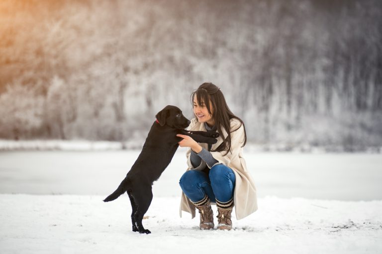 Indoor agility training is an excellent way to keep your furry friend physically and mentally stimulated, even when it's cold outside. This article will explore the benefits of indoor agility training for dogs and offer tips on how to create an engaging agility course inside your home.