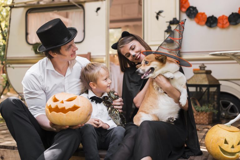 Introducing Your Pet to Halloween Decorations Do's and Don’ts