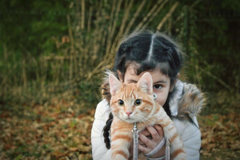 Kitten Season is Peaking Why June Is a Great Time to Foster orAdopt