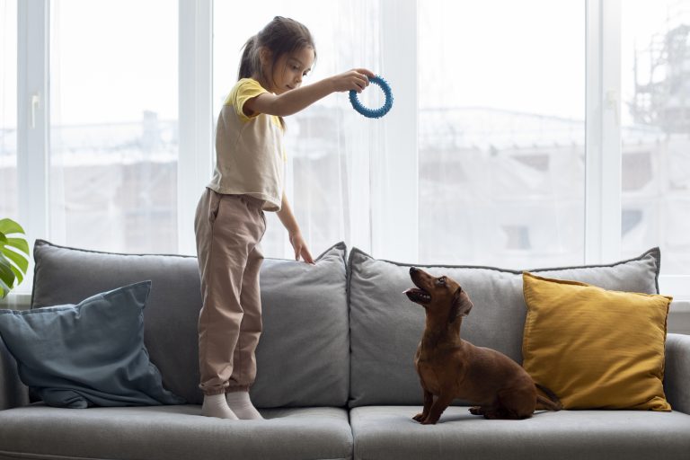 STARMARK Toys Revolutionizing Indoor Play for Dogs in 2025