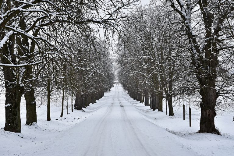 Safe Ice Melt for New Concrete Protect Your Driveway Without Damage