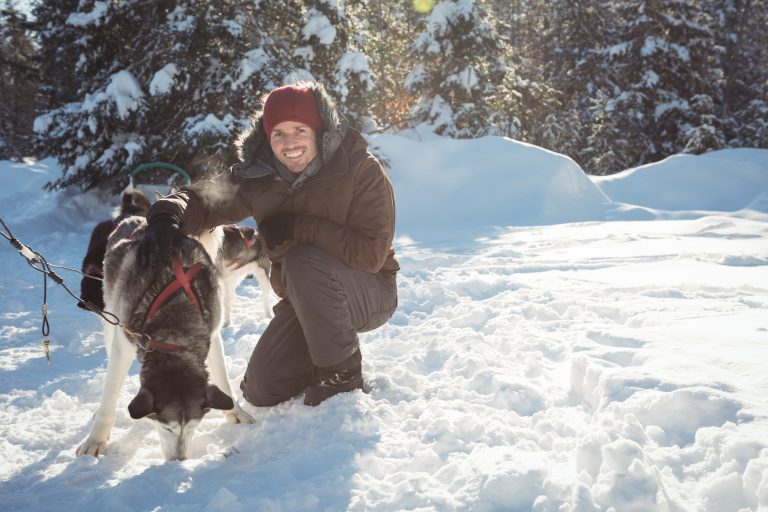 Snow and Ice Melt Problems in NYC A Safe Solution for Pets and Concrete