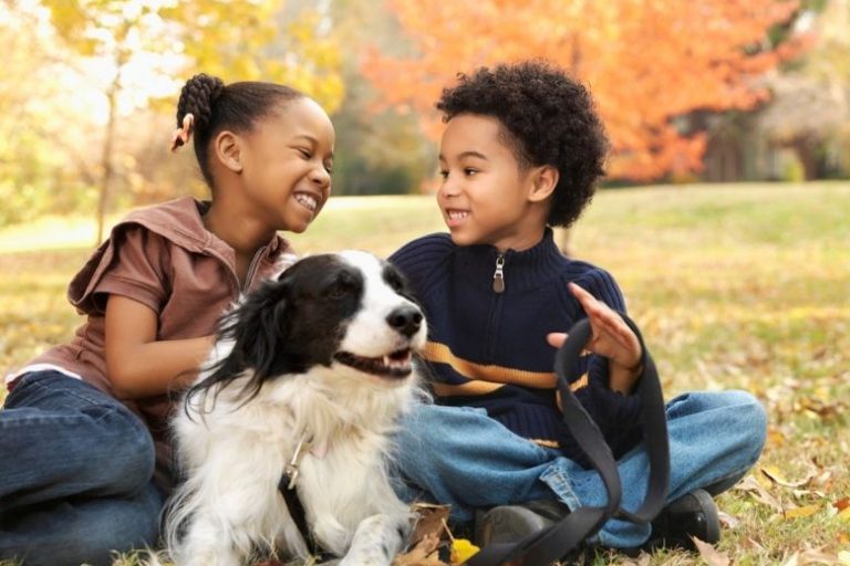 Socialization 101_ How to Help Your Dog Be More Confident in Public Spaces (2) Socializing Your Dog | How to Boost Your Dog’s Confidence in Public Spaces