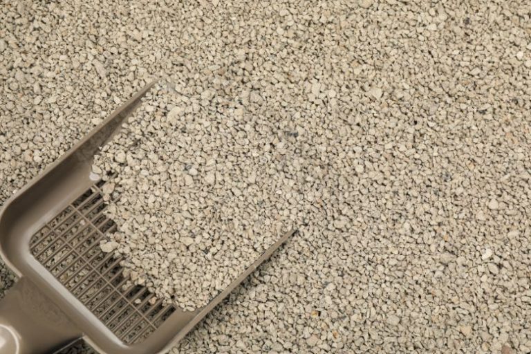 What Makes a Good Kitty Litter_ Key Features to Look for in the Best Options (2) Good Kitty Litter: A Cleaner, Safer Choice for Cats