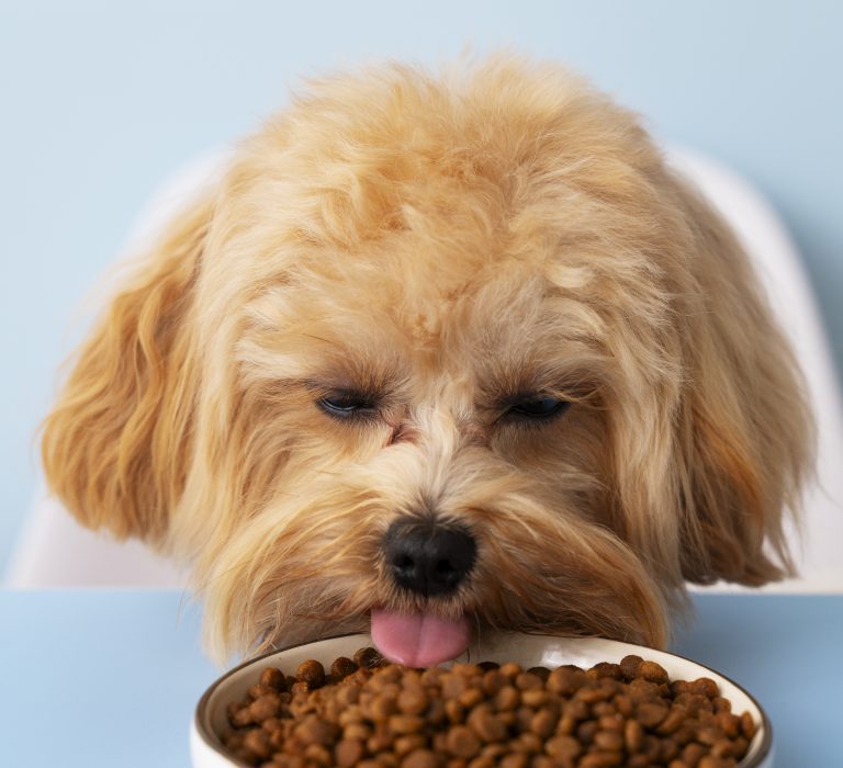 What Steps Should Be Taken To Prevent The Inclusion Of Ingredients Sourced From Regions With High Environmental Pollution In Pet Food