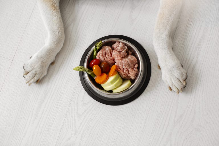 What measures should be implemented to prevent the inclusion of unapproved additives or supplements in pet food